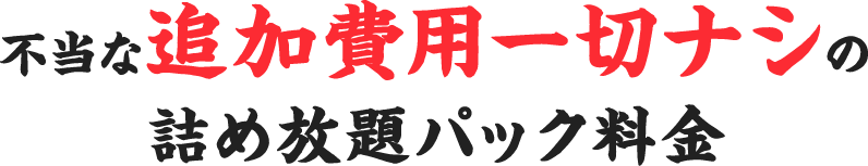 不当な追加費用一切ナシの詰め放題パック料金